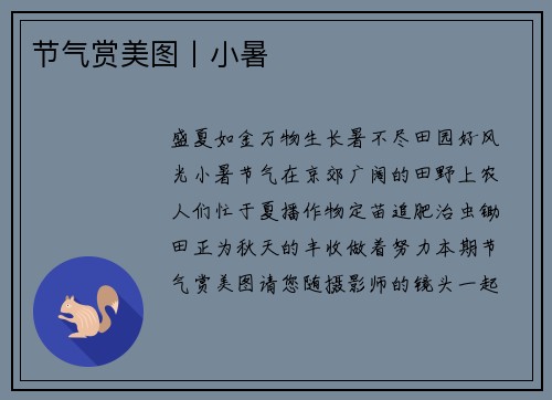节气赏美图丨小暑